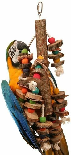 Giant macaw parrot swing - giant,