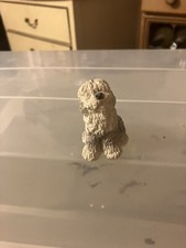 Small Shaggy Old English