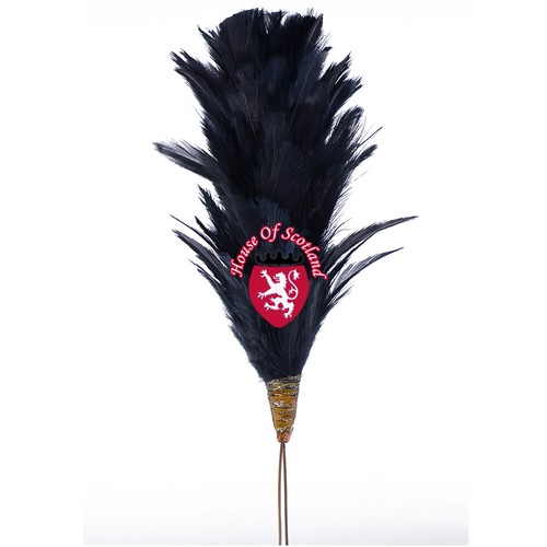 Glengarry cap plume feather - plume,