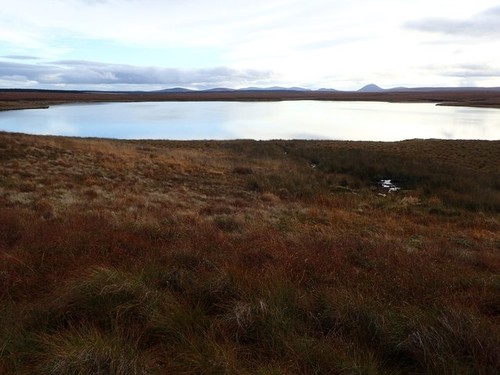 Photo 6x4 lochan ealach - ealach, mor