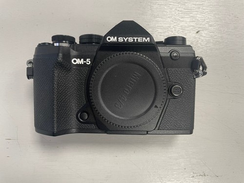 Mirrorless camera black - mirrorless,