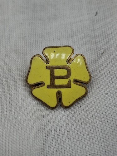 Antique primrose league pin - primrose,