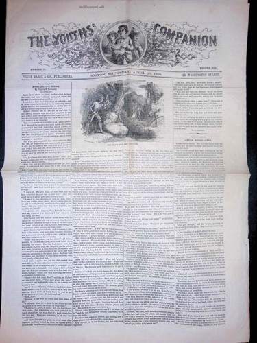 1909 youth companion - companion, leaf