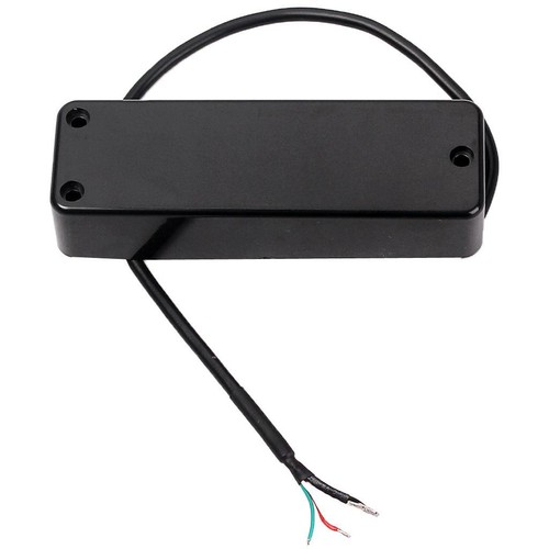 Strings electric bass - electric,