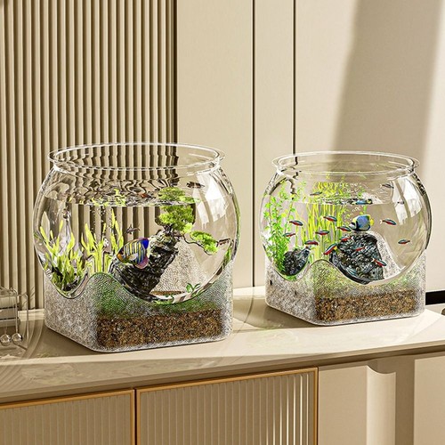 Transparent round fish bowl - transparent,