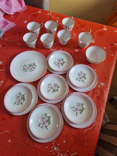 Windsor vintage azalea - vintage, tea