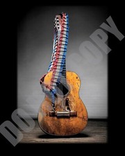 Willie Nelson Martin N-20
