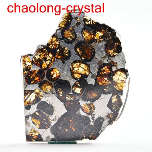 6ct seymchan pallasite - seymchan,