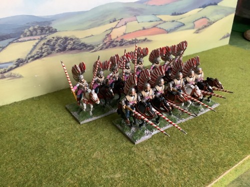 Polish winged lancers 28mm - 28mm,