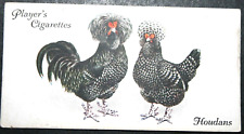 HOUDAN Chickens    Poultry Breed   Original 1931 Vintage Card  JE27M