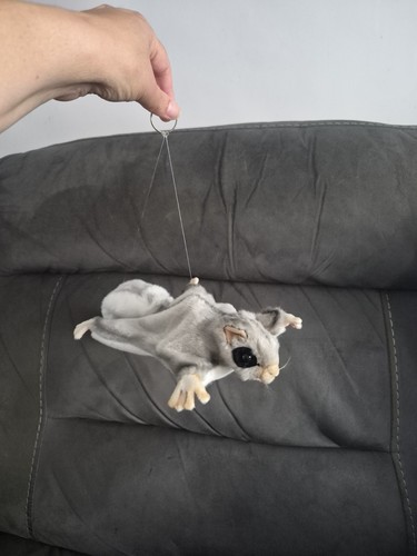 Hansa grey sugar glider - hansa,