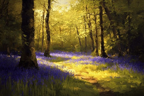 Bluebell woodland forest - bluebell,
