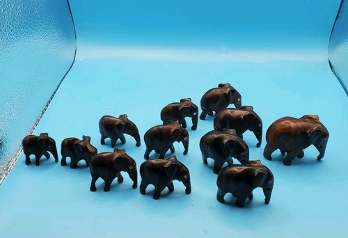 Herd brown ebony - herd, of