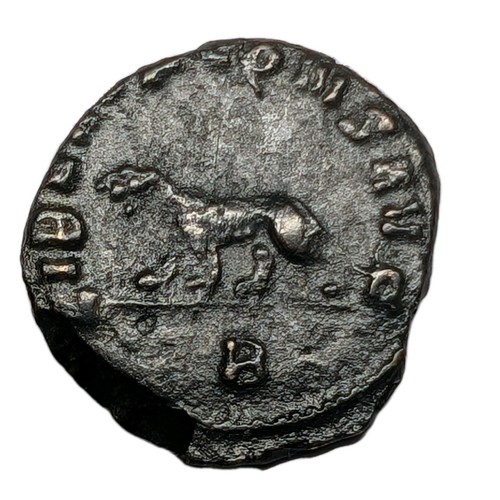 Gallienus zoo series libero - ,