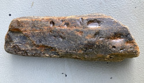 Fossilised whale bone - fossilised,