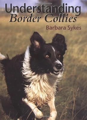 Understanding border collies - border,
