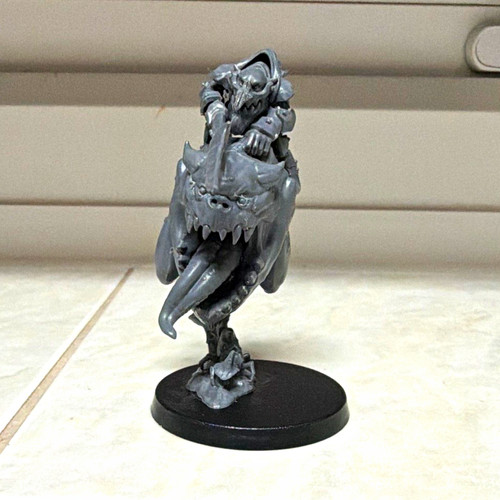 Gloomspite loonboss giant - loonboss,