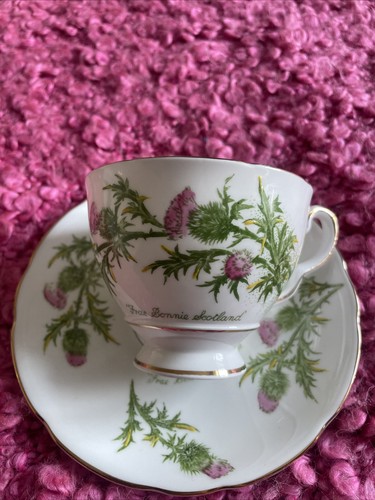 Bone china tea - bone, cup
