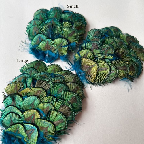 Peacock feathers feather - feathers,