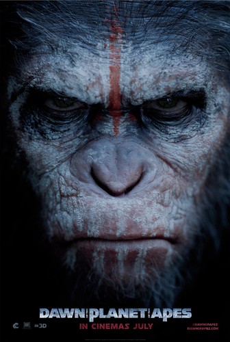 Wall print poster - poster,