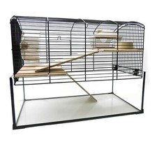 Gerbils Dwarf Rat Syrian Hamster Cage Glass Base Gerbilarium - The Mayfair