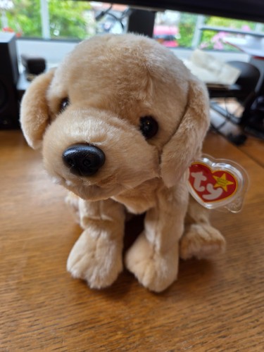 Beanie buddies fetch the - beanie,