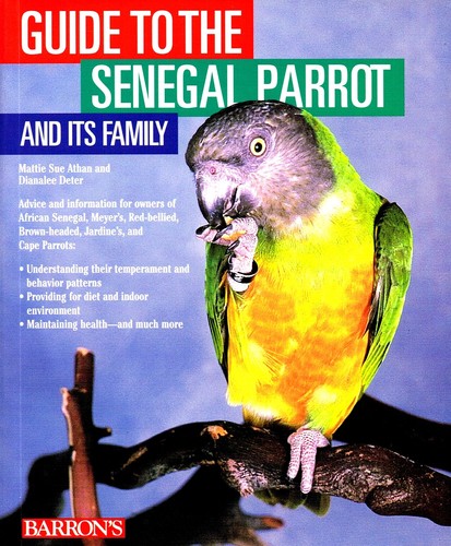 Guide the senegal parrot - guide,