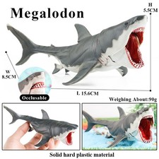 Large shark ocean - large, animal