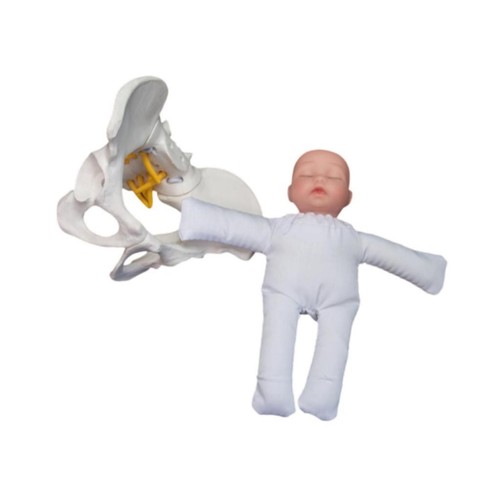 Demonstration for childbirth - for,