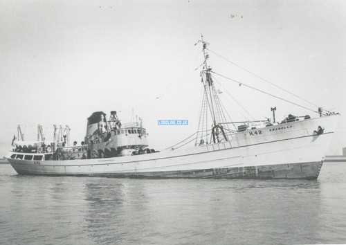 Hull memory lane fishing - hull,