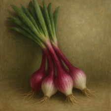 LILIA SALAD ONION SEEDS X 500