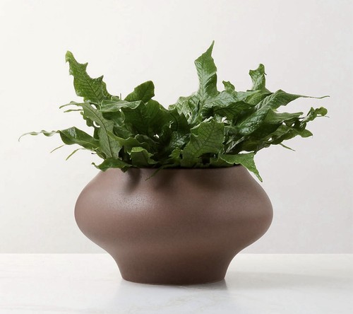 Crate barrel anansi samia - crate, &