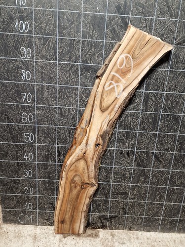 English walnut slab - walnut,