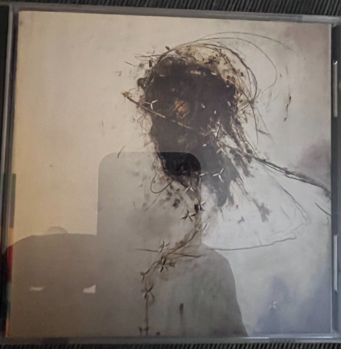 Peter gabriel passion - peter,