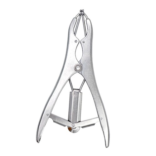 Castration forceps veterinary - castration,