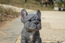 Blue French Bulldog Pet Pals