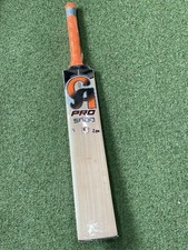 CA Pro 5000 Cricket Bat -