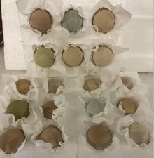 Fertility,Gender, Sexing,Tester ForBirds,✅Hatching Eggs/Chicks Works Every Time