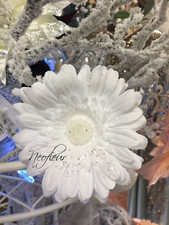 White daisy Flower, White