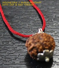 INDONESIAN SEVEN 7 SAATH MUKHI FACET RUDRAKSHA RUDRAKSH CORD PENDANT SHIVA BEAD