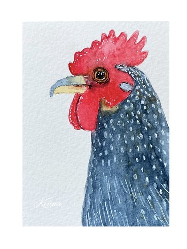 Aceo kenna watercolour - by,