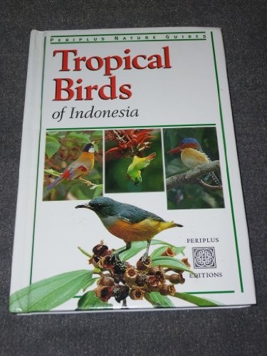 Tropical birds southeast - of,