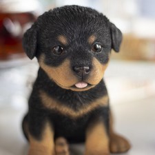 SoReal Brown Rottweiler |