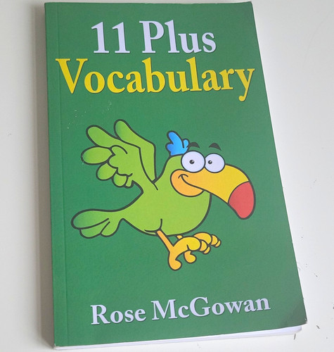 Plus vocabulary workbook - 11,
