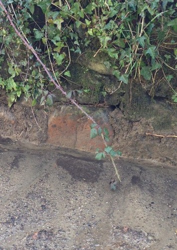 Photo 6x4 old milestone - photo,