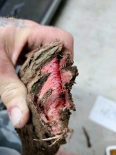 Leather Dye Base Powder 500G