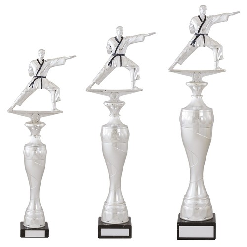 Martial arts trophies silver - arts,