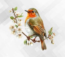Robin Bird Floral Wall window