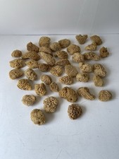 40x Mixed Size Natural Sponge Job Lot