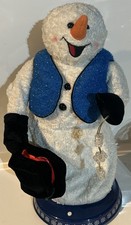 Gemmy Snowflake Spinning